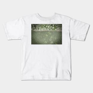 Top down aerial view of green nursery forest bordering with mature forest Kids T-Shirt